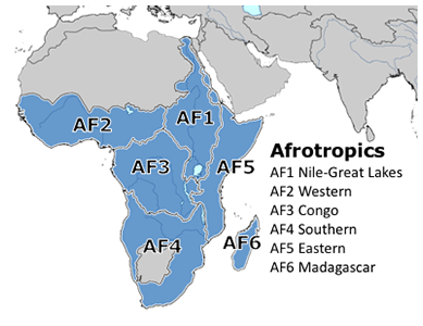 Afrotropical Subregions