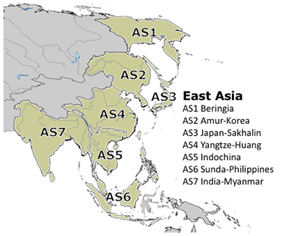East Asian Subregions
