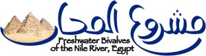 Mashrua Al Mahar: Freshwater Bivalves of the Nile River, Egypt.