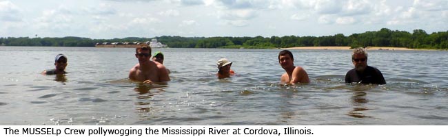 The MUSSELp Crew pollywogging the Mississippi River at Cordova, Illinois.
