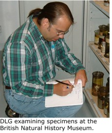 Daniel Graf examining specimens at the British Natural History Museum.