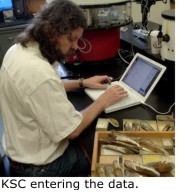 Kevin Cummings entering data.
