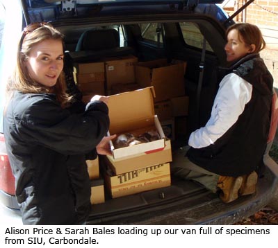 Alison Price & Sarah Bales loading up our van full of specimens from SIU, Carbondale.