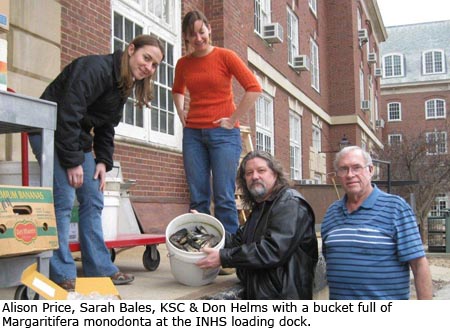 Alison Price, Sarah Bales, KSC & Don Helms with a bucket full of Margaritifera monodonta at the INHS loading dock.