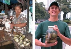 A Peruvian woman with mussels available for sale, and Dr. Mark Sabaj displaying those specimens upon his return to Philadelphia.