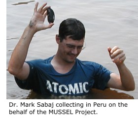 Dr. Mark Sabaj collecting in Peru on the behalf of the MUSSEL Project.