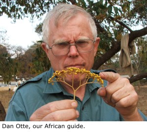 Dan Otte, our African guide.