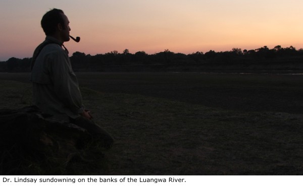 Dr. Alec Lindsay sundowning on the banks of the Luangwa River.