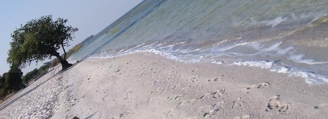 The wave-smoothed beach of Lake Bangweulu. 