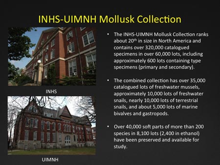 INHS-UIMNH Mollusk Collection
