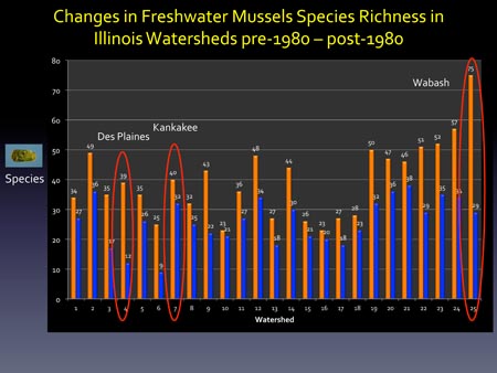 Changes in freshwater mussels species richness in Illinois watersheds pre-1980-post-1980.