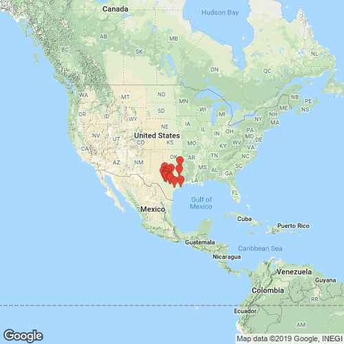 species map