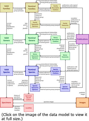 MUSSEL Project Database data model