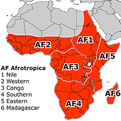 Afrotropical Subregions