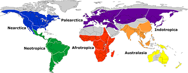 Freshwater Mussel Regions of the World