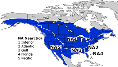 Neartic Subregions