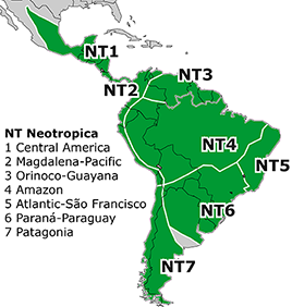 Neotropical Subregion