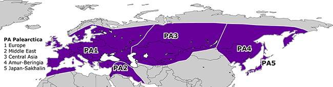 Palearctic Subregions