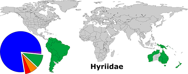 Global Distribution of the Hyriidae. The green wedge of the pie depicts the relative diversity of the family (71 of 842).