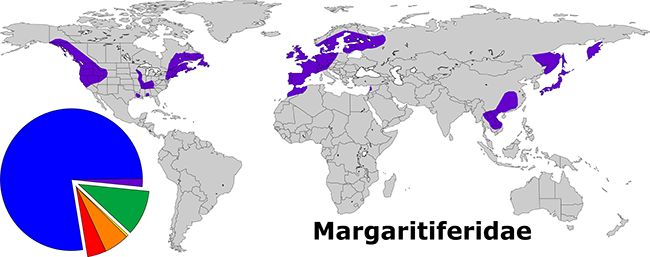 Global Distribution of the Margaritiferidae. The thin purple wedge of the pie depicts the relative species diversity of the family (12 of 842).