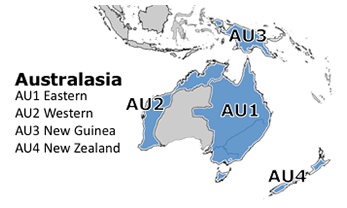 Australasian Subregions