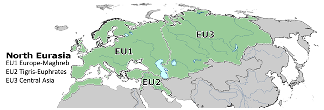 North Eurasian Subregions