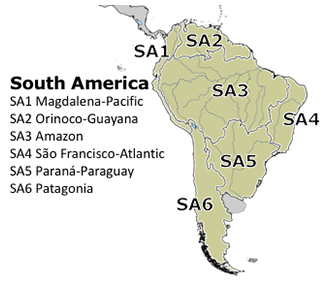 South America