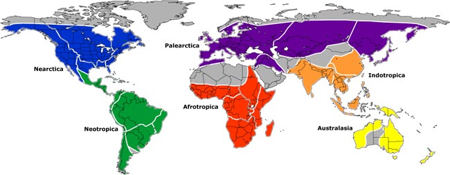 Freshwater Mussel Regions of the World