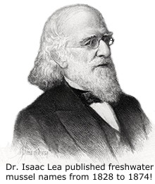 Dr. Isaac Lea published freshwater mussel names from 1828 to 1874!
