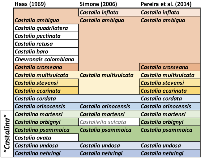 Castalia classification