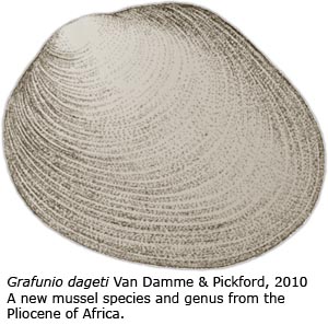 Grafunio dageti Van Damme & Pickford, 2010. A new mussel species and genus from the Pliocene of Africa.