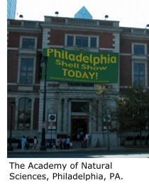 The Academy of Natural Sciences, Philadelphia, PA.