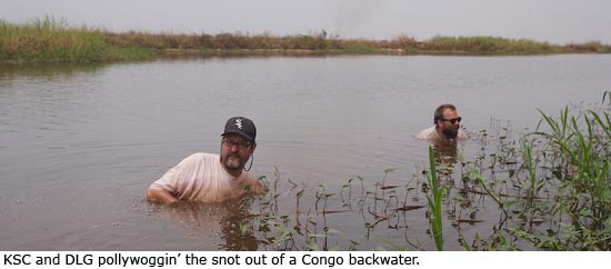 Kevin Cummings and Daniel Graf pollywoggin' the snot out of a Congo backwater.