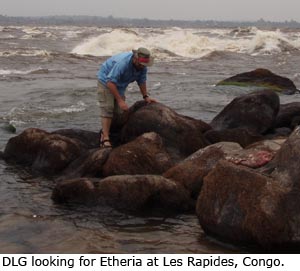 Daniel Graf looking for Etheria at Les Rapides, Congo.