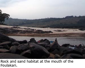 Rock and sand habitat at the mouth of the Foulakari.