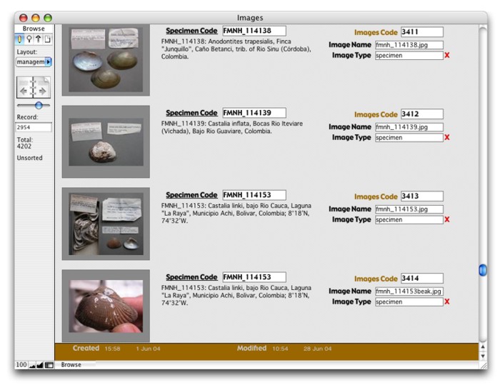screen shot from the MUSSELp images database