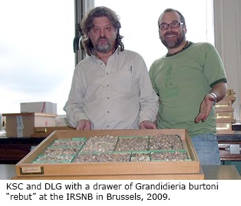 Kevin Cummings and Daniel Graf with a drawer of Grandidieria burtoni "rebut" at the IRSNB in Brussels, 2009.