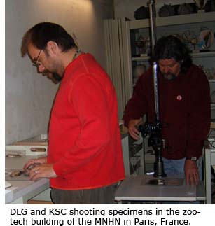 Daniel Graf and Kevin Cummings shooting specimens in the zootech building of the MNHN in Paris, France.