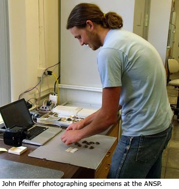 John Pfeiffer photographing specimens at the ANSP.