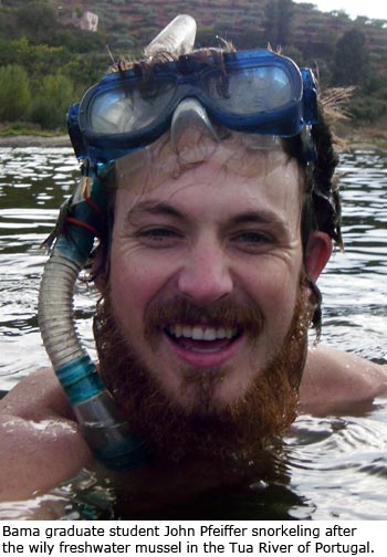 Bama graduate student John Pfeiffer snorkeling after the wily freshwater mussel in the Tua River of Portugal.