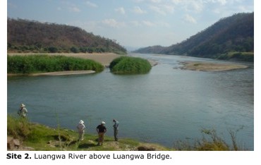 Site 2. Luangwa River above Luangwa Bridge.