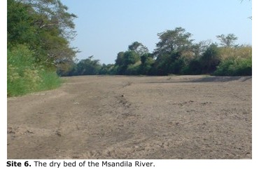 Site 6. The dry bed of the Msandila River.