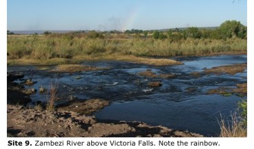 Site 9. Zambezi River above Victoria Falls.