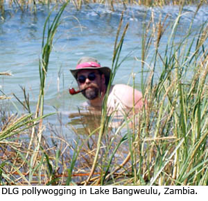 DLG polywogging in Lake Bangweulu.