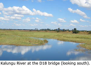 Kalungu River at the D18 bridge (looking south).