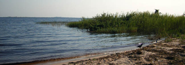 Lake Mweru at the Nchelenge Fisheries Station (with islands visible on the horizon).
