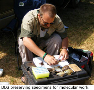 Daniel Graf preserving specimens for molecular work.