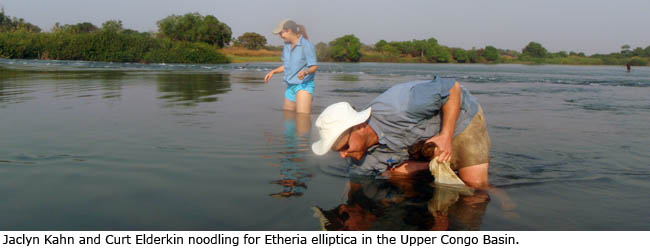 Jaclyn Kahn and Curt Elderkin noodling for Etheria elliptica in the Upper Congo Basin.