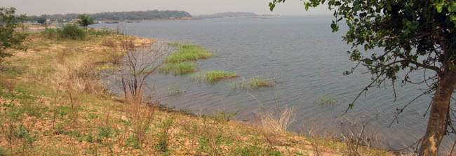The Siansowa Peninsula on Lake Kariba. Not a good musseling site when we were there, with a very soft, mud-gravel substrate.
