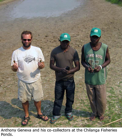 Anthony Geneva and his co-collectors at the Chilanga Fisheries Ponds.